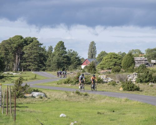 Gotland360-2023-Fårö-395